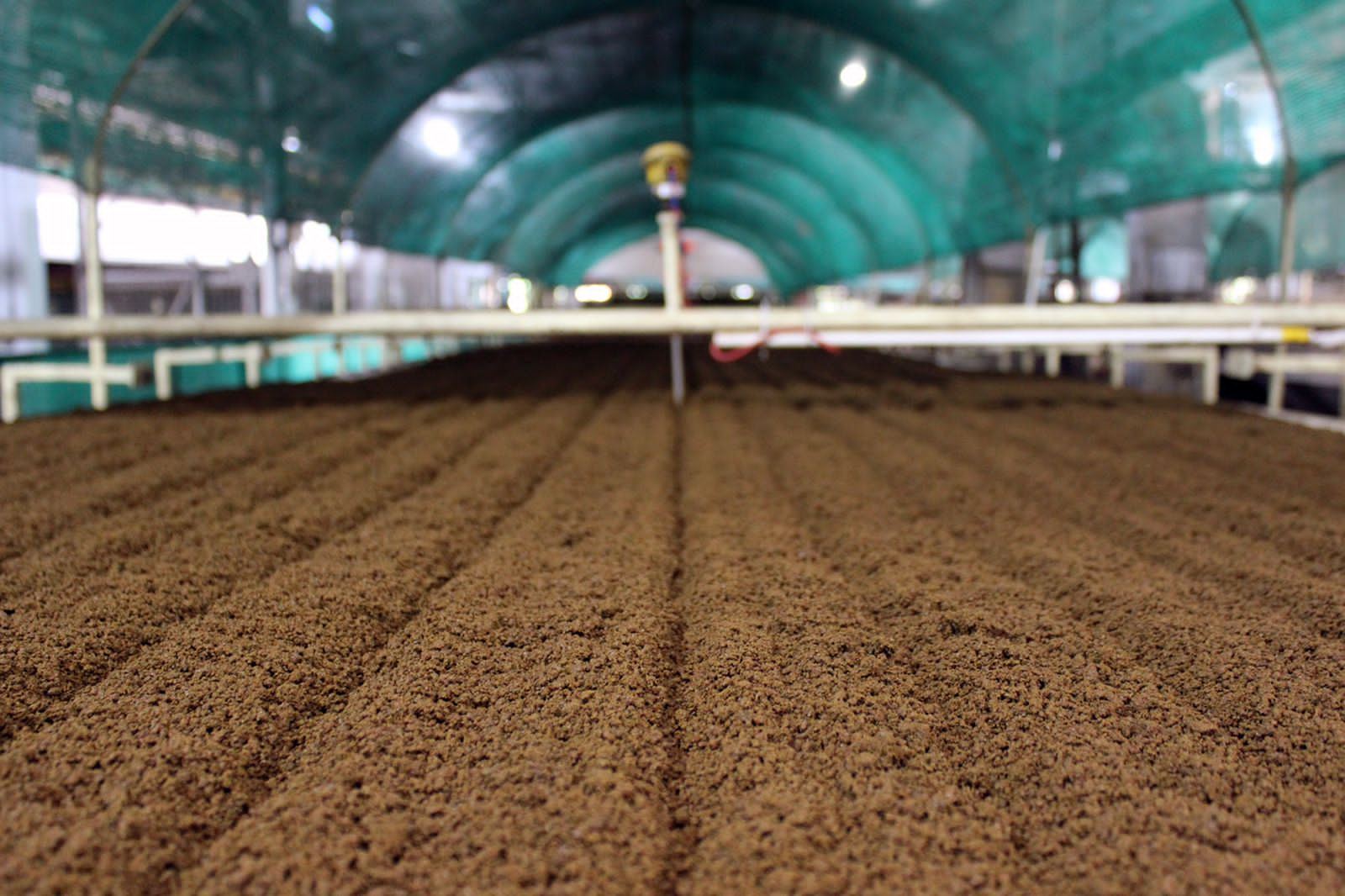 Vaibhav Tea factory — slide 3