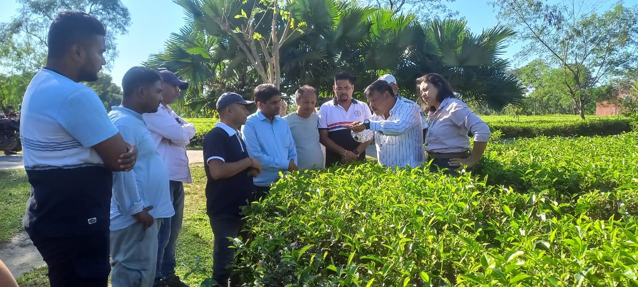 Training programme with small tea growers