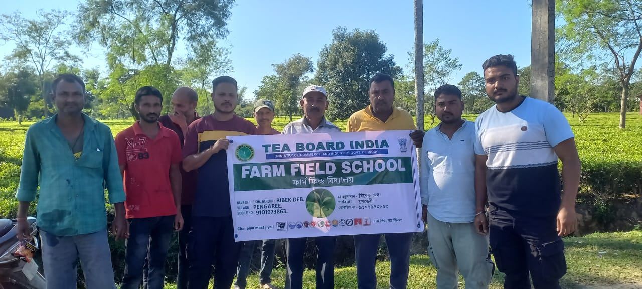 Tea Board India Farm Field School with local growers